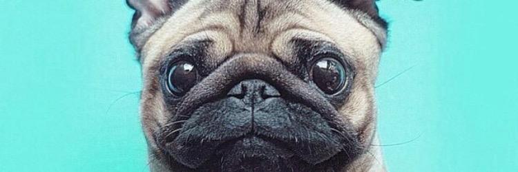 JBsmileimelt's profile banner image