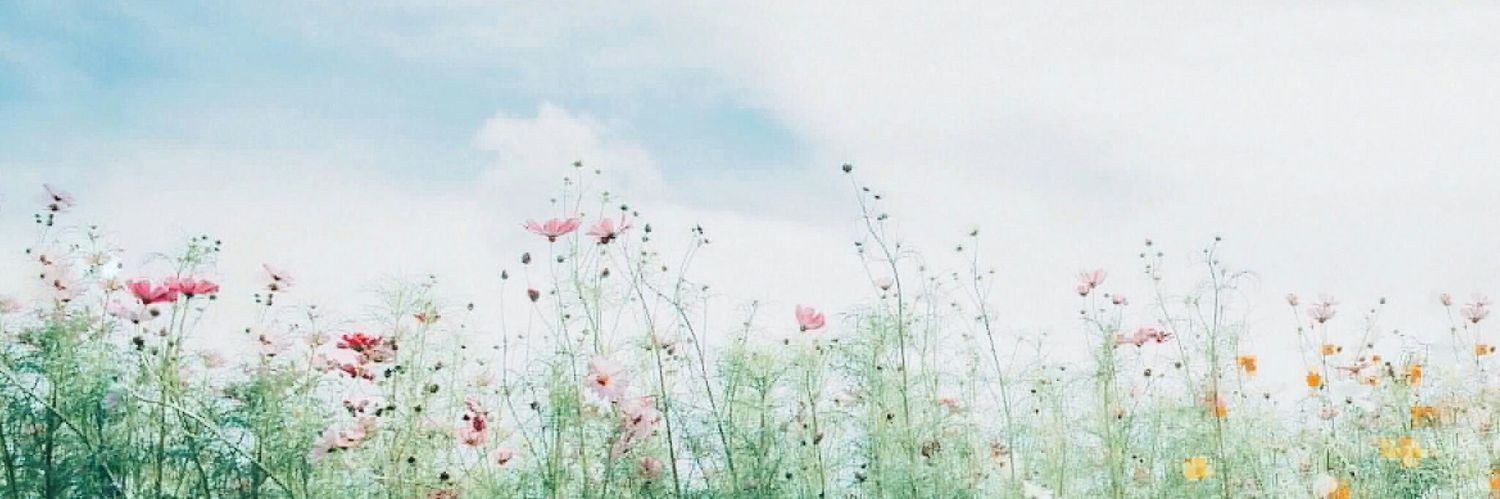 zerpasad's profile banner image
