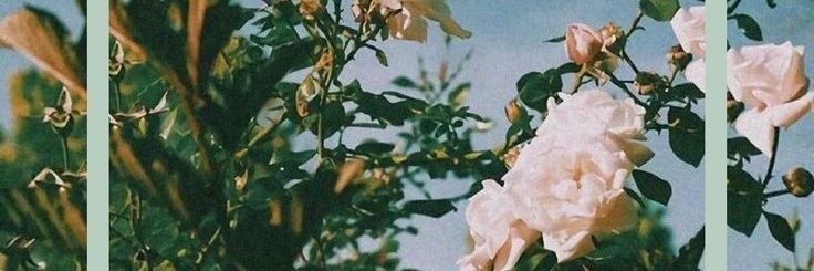 Mhee_gg banner