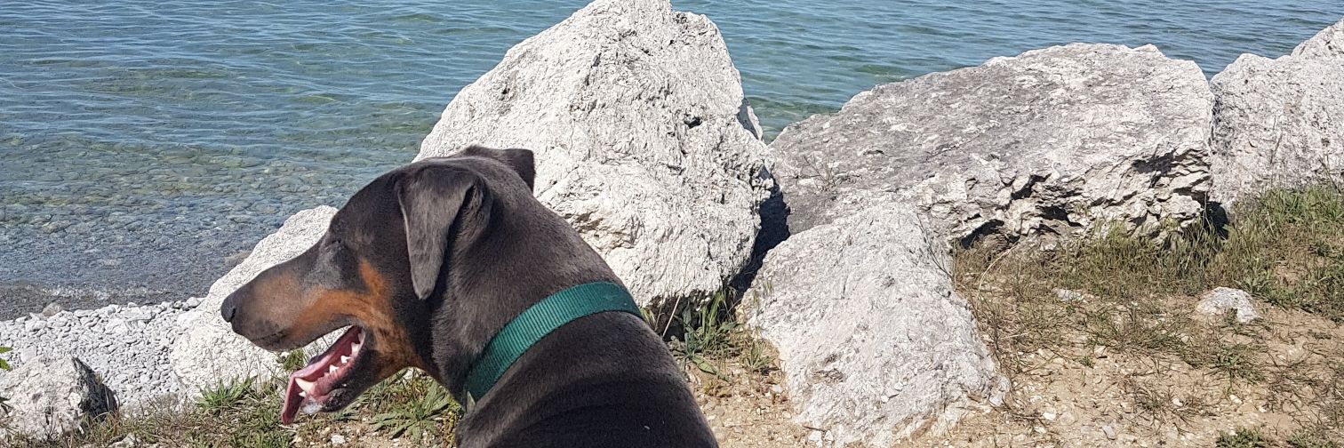 cheri2511's profile banner image