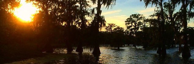 kayla_abear's profile banner image