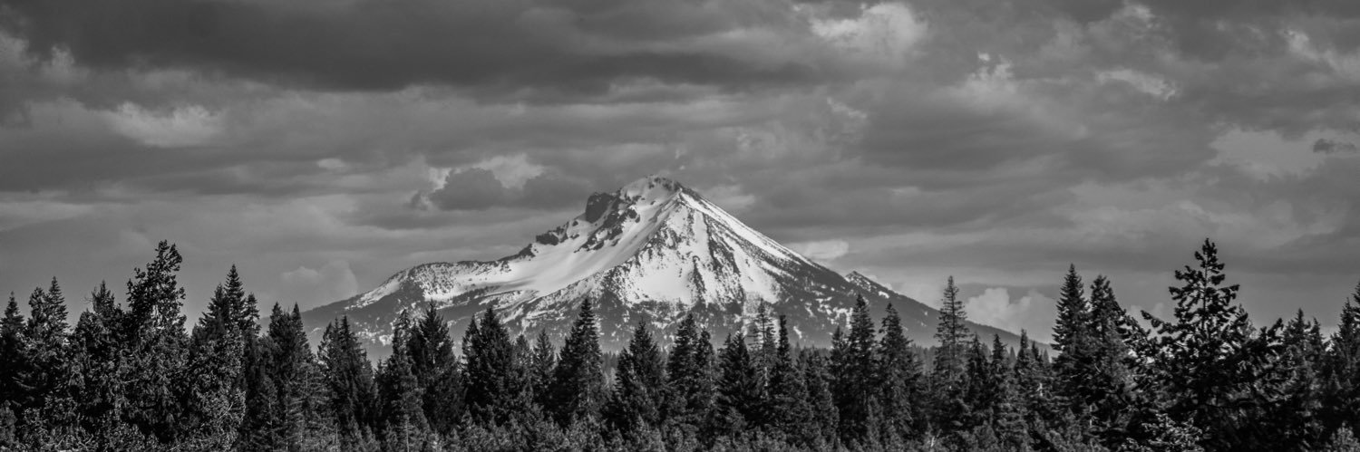 ElizabethMeadow's profile banner image