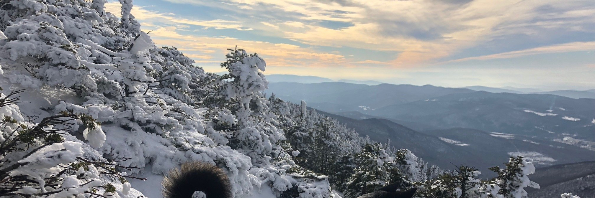 leahktodd's profile banner image