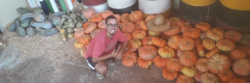 LeoCapiva's profile banner image