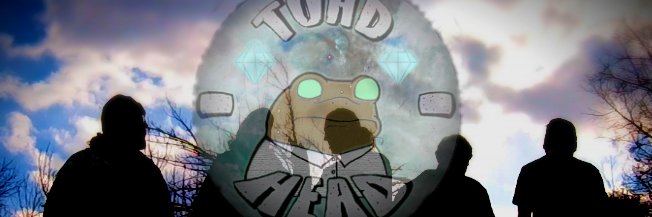 ToadHeadMusic's profile banner image