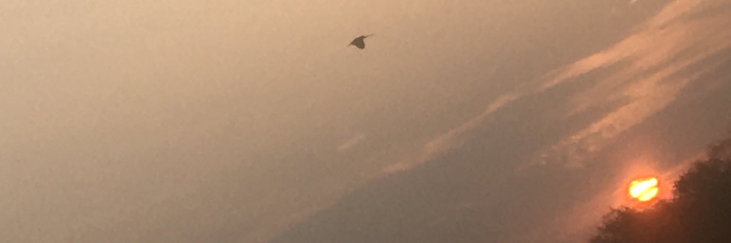 blaDlaa3's profile banner image