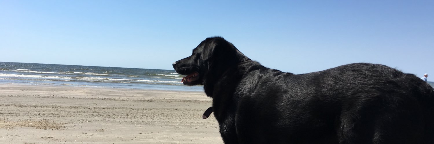 edeprz's profile banner image