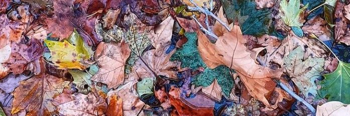 CLAUDIALEALO's profile banner image