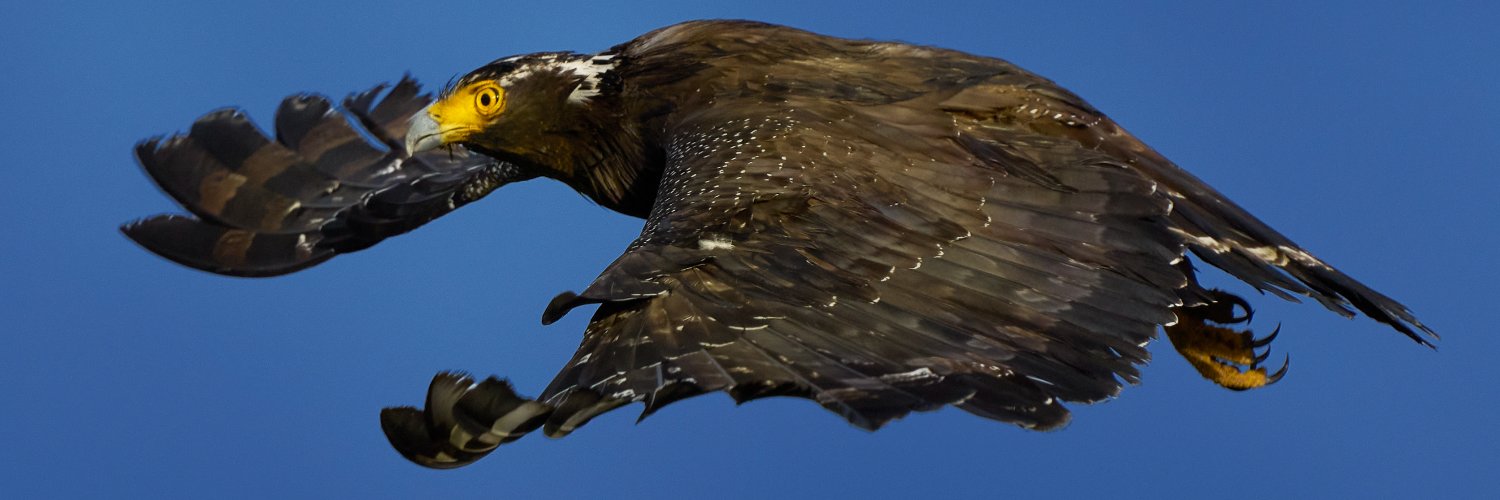 Blakrobe's profile banner image