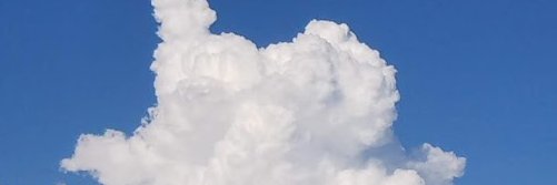 kepohon2's profile banner image
