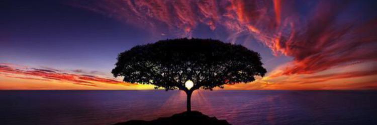 Casey_Rosier's profile banner image