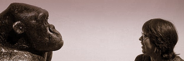 PataroSusana Profile Banner