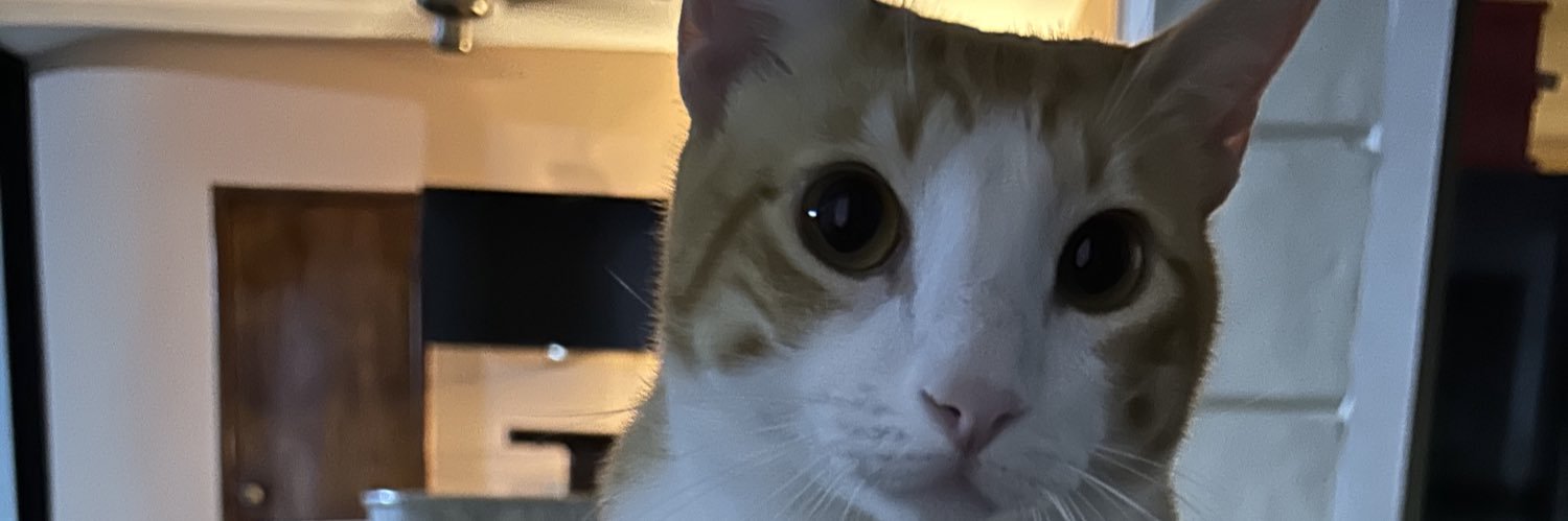 SilverFest 𝕏 banner