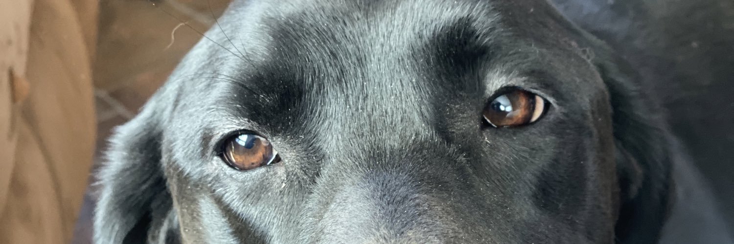 DuaneDanner's profile banner image