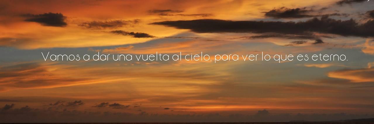 vifepisa's profile banner image