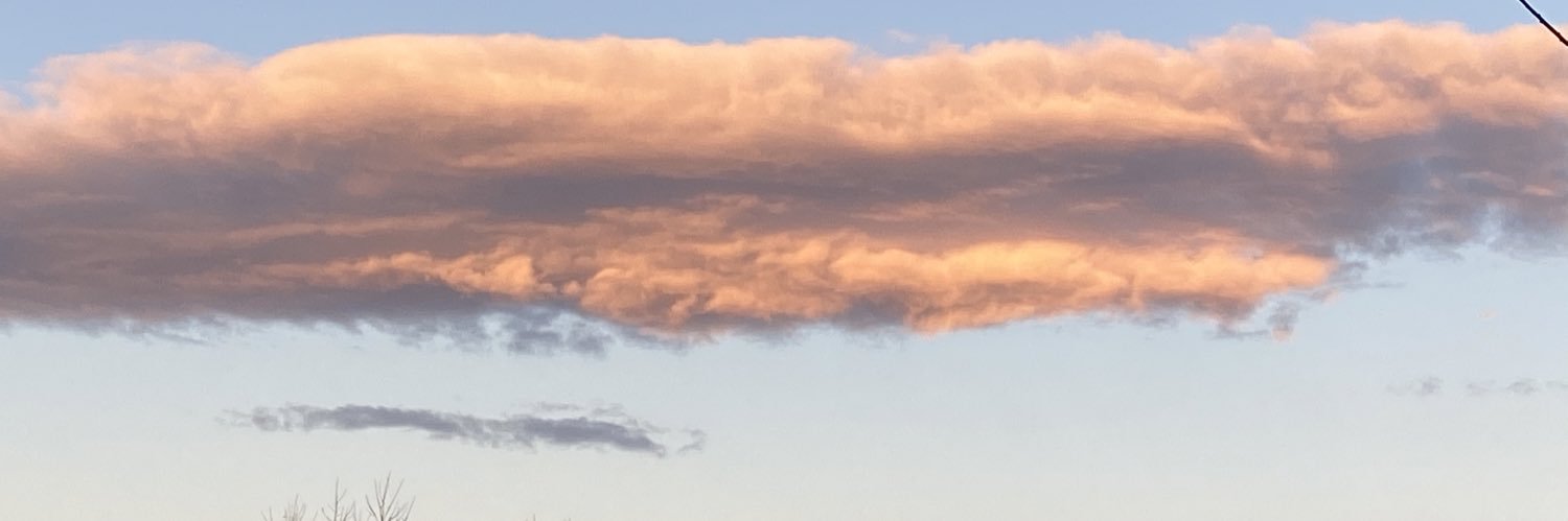RogerTrujillo6's profile banner image