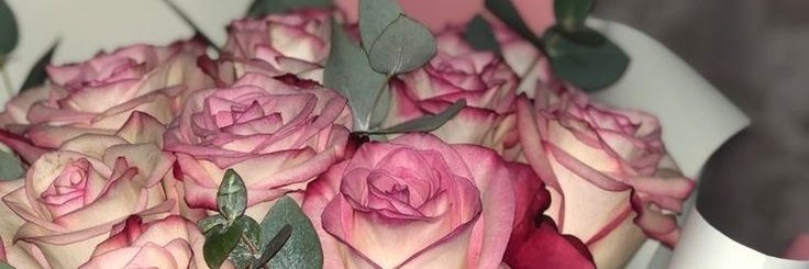 nada elhussein banner