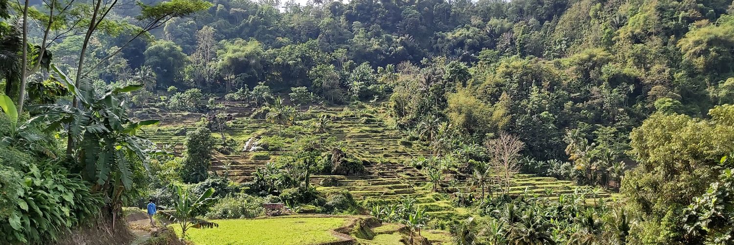 Petani on the Way banner
