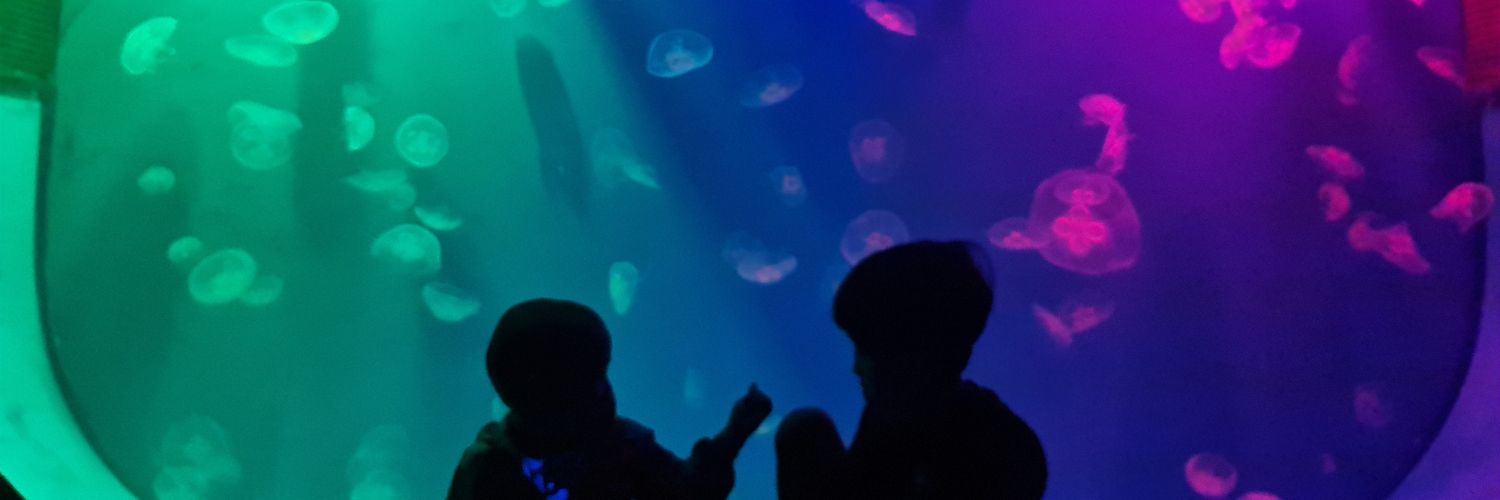 nonpriskilla's profile banner image