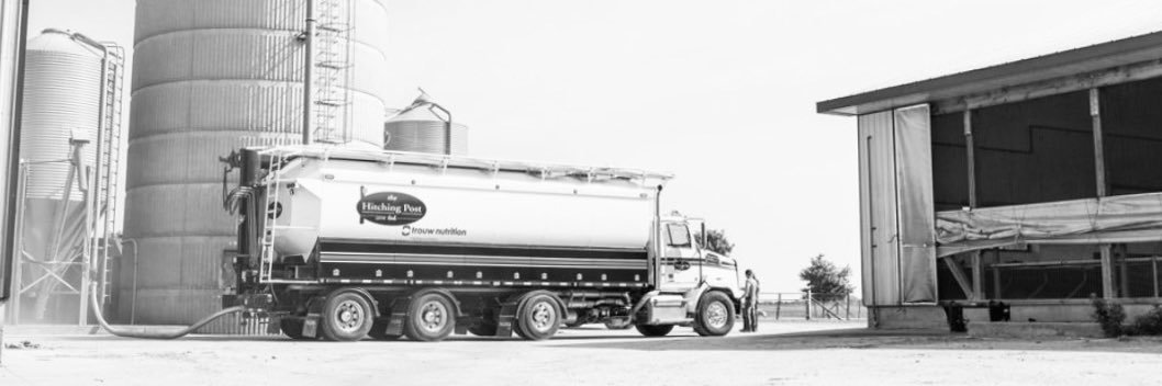 The Hitching Post (2019) Ltd banner