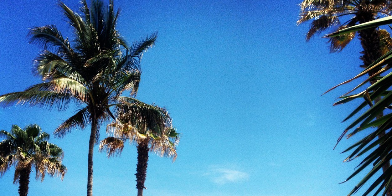 haleylora's profile banner image