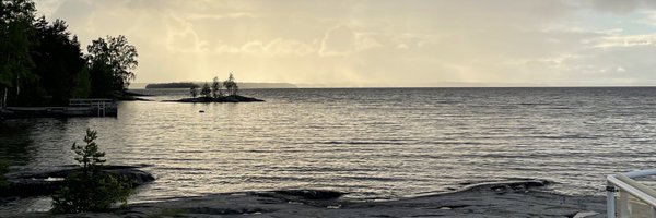 SatuMalinen_ Profile Banner