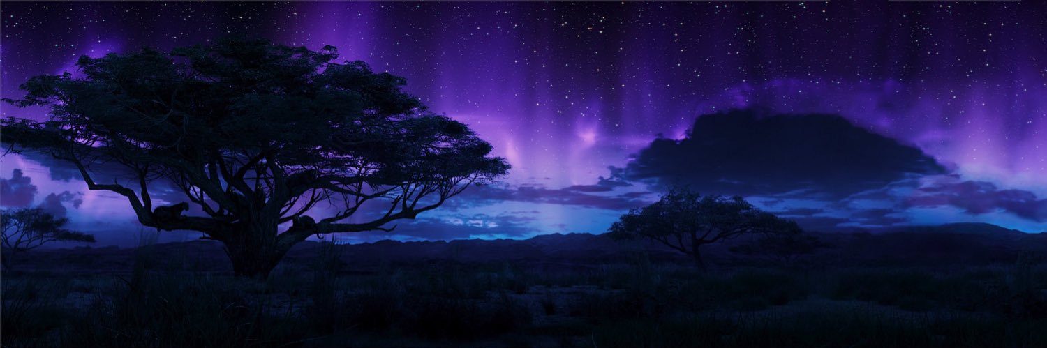 ambivertical's profile banner image