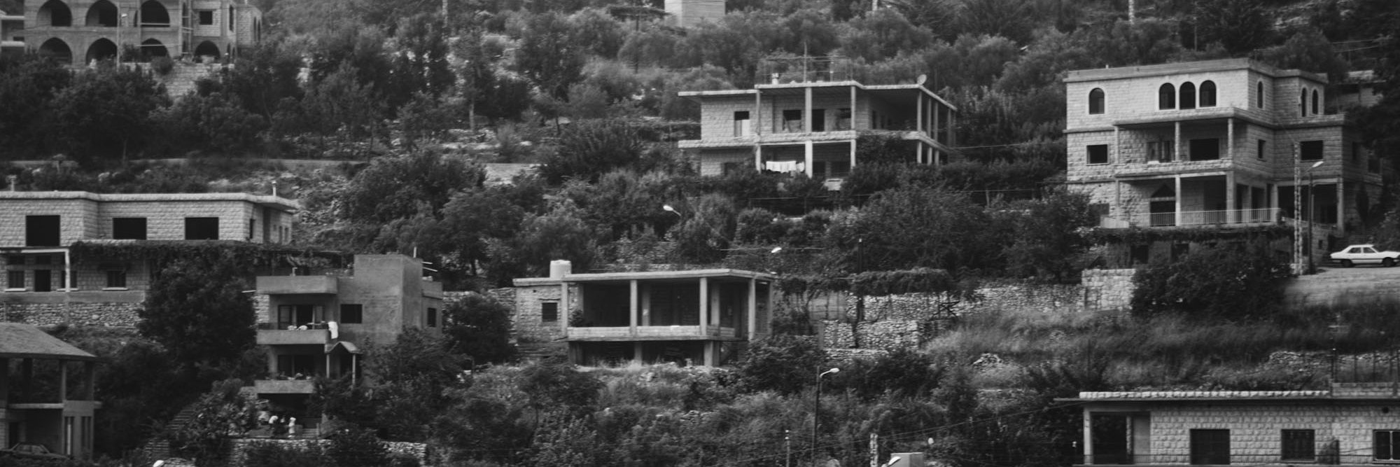 Survival Pulse banner