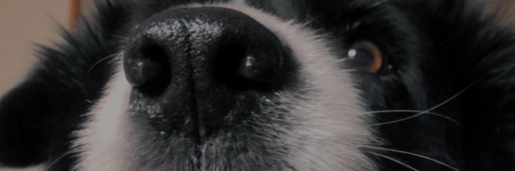 carlablanco35's profile banner image