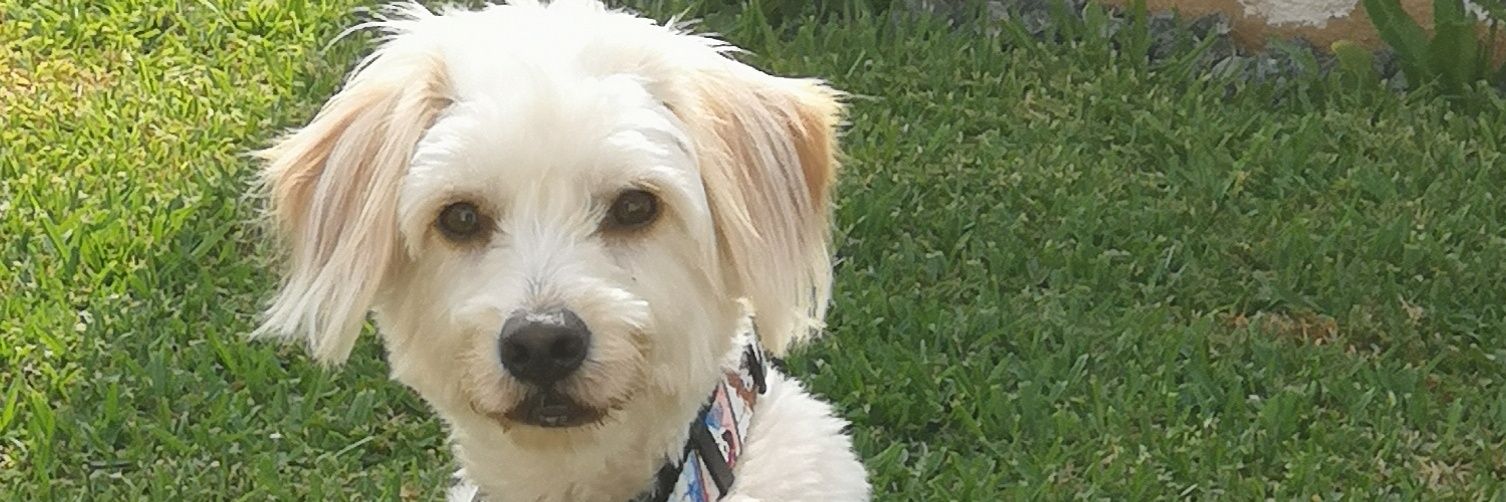 Roxy0705's profile banner image