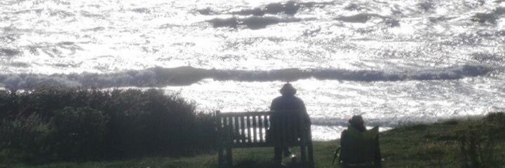 Cat Von Gorey banner