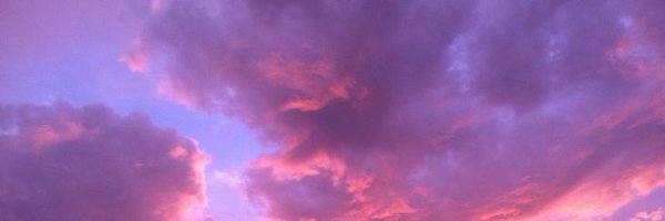 wen_dingo Profile Banner