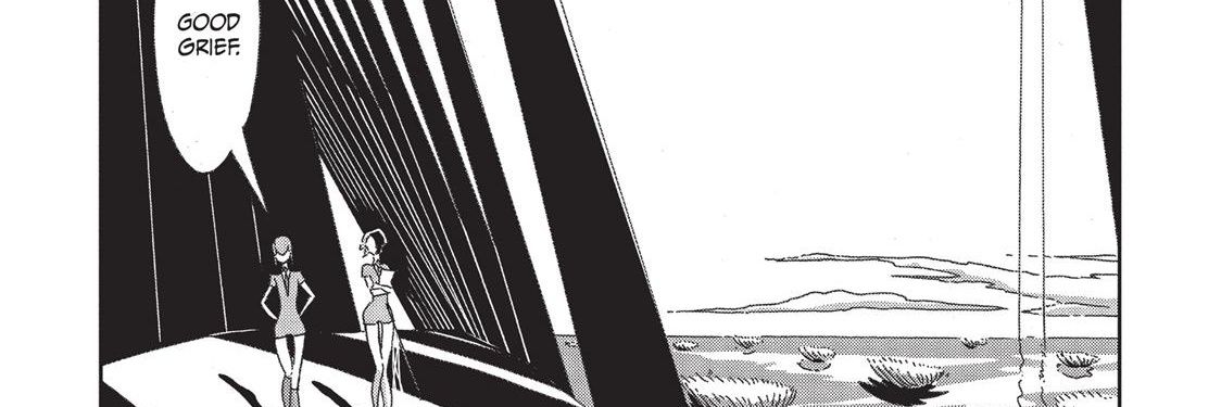 nik banner