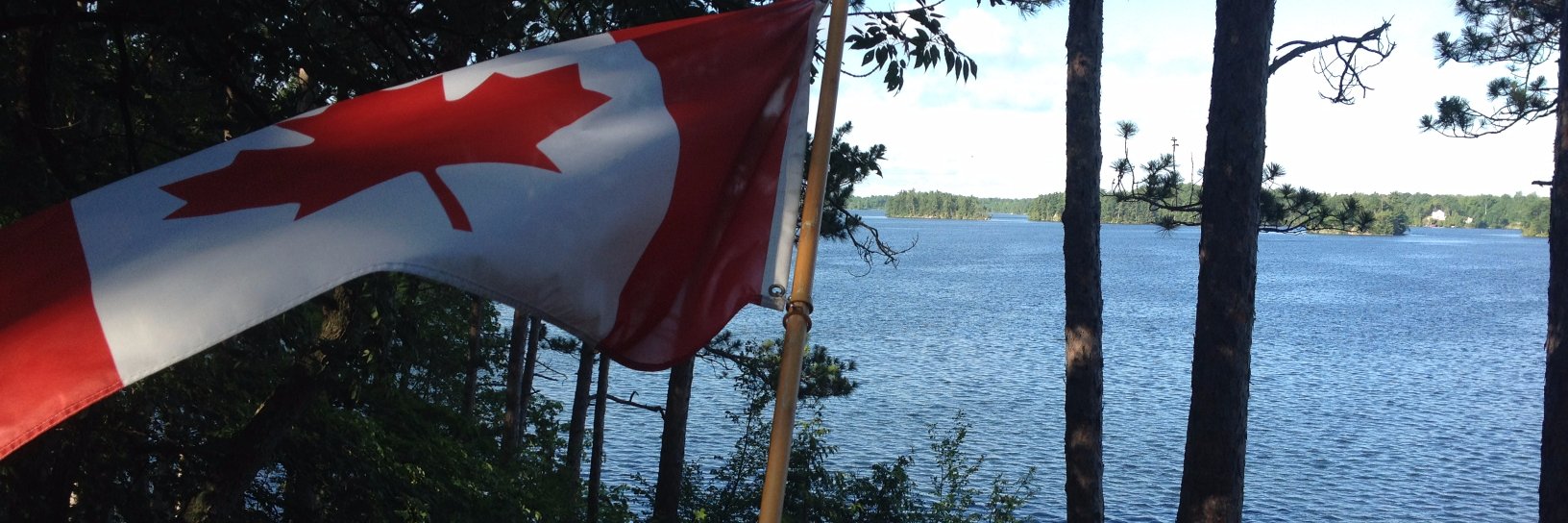 Alison Korn banner
