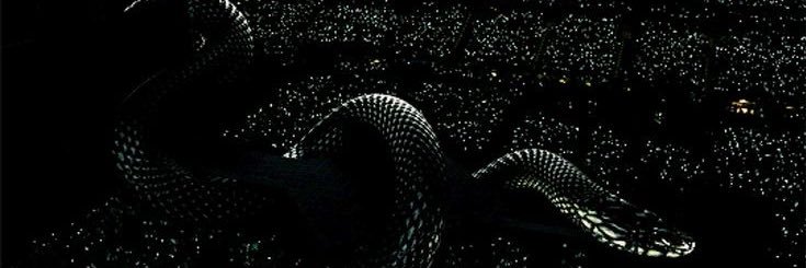 sofiskeike's profile banner image