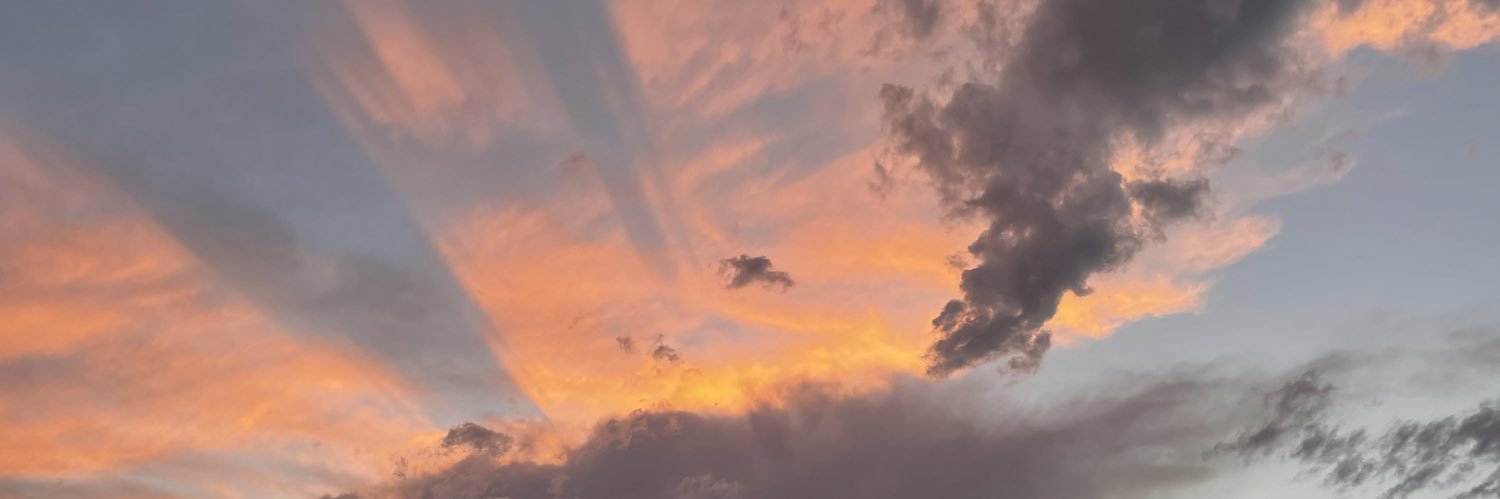 BearChunkster's profile banner image