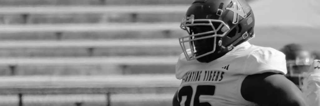 Mark Bramble Jr. banner