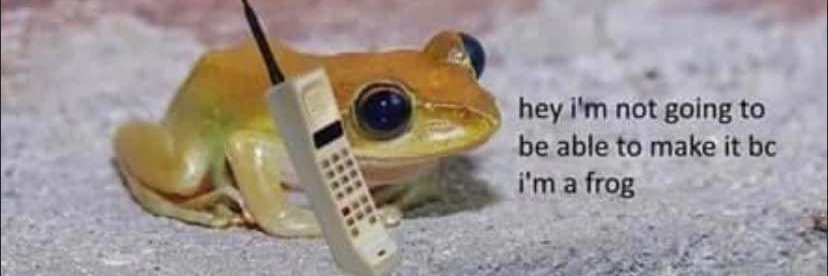 FroggLegged's profile banner image