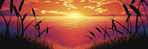 Deborah finch banner