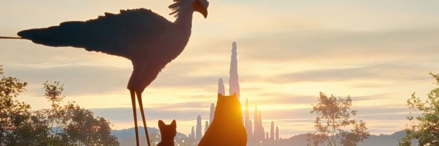 cattogyu's profile banner image