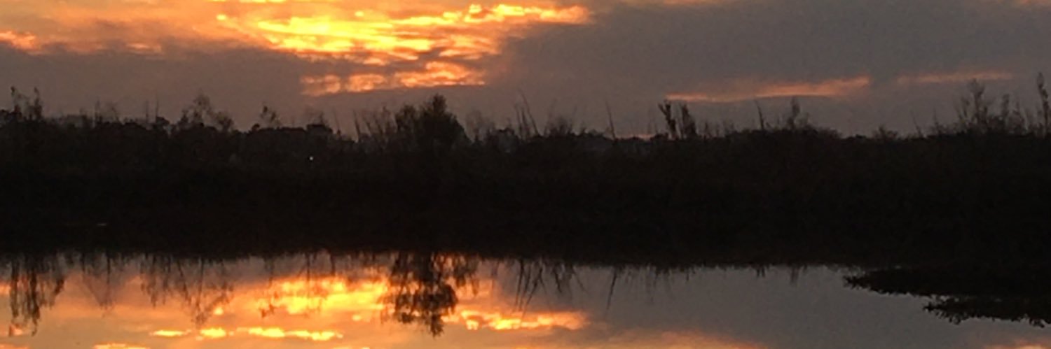 Sedicedemí. banner