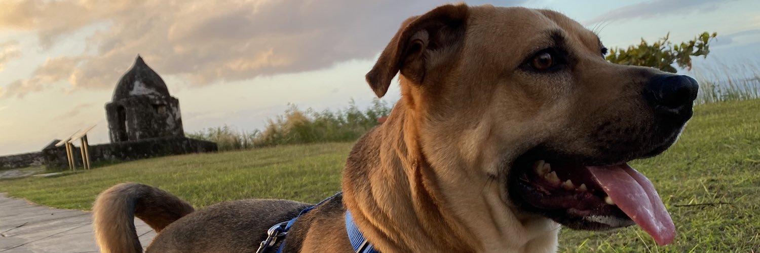 kaekaemiha's profile banner image