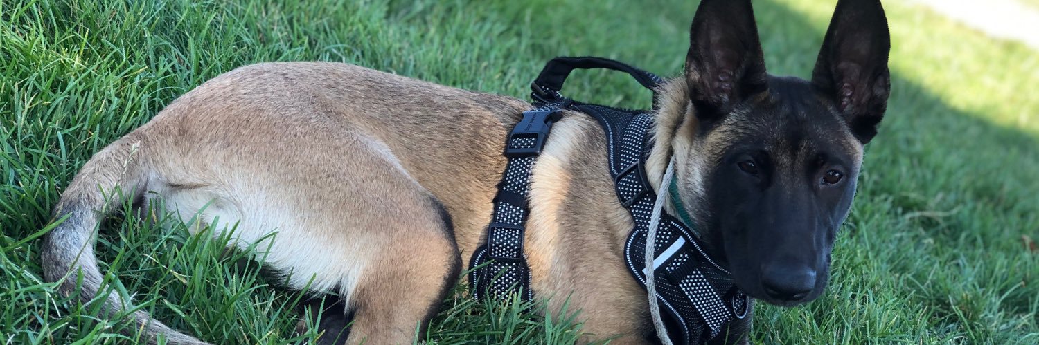 linabalinaa's profile banner image