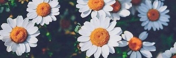 BarbiyGonzalez's profile banner image