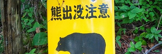 ring_mal's profile banner image