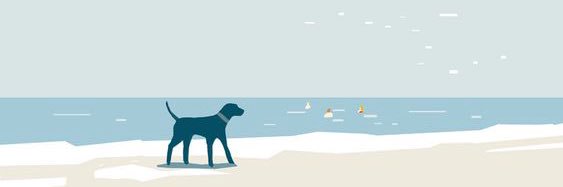 후랑소와 𝔣𝔯𝔞𝔫𝔰𝔬𝔦𝔯🎗✊🐕‍🦺*•.¸¸🌈🏐🦮🚴‍♂️'s banner