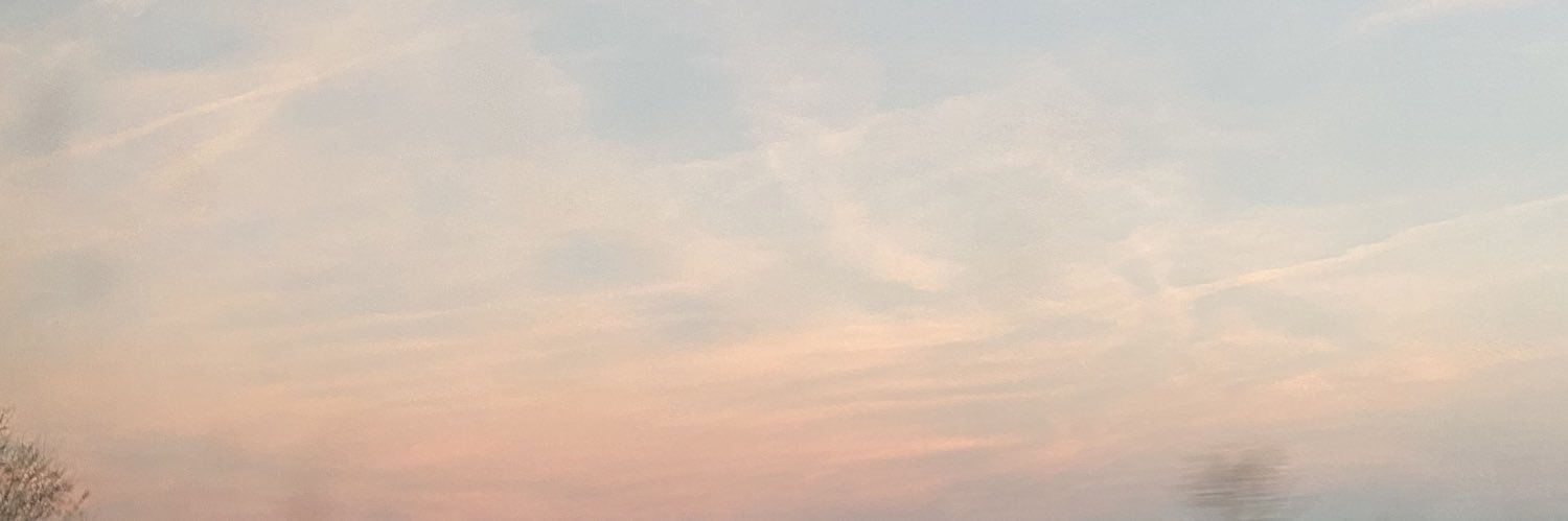 AlmuVevera's profile banner image
