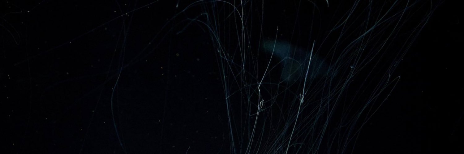 Based Patrick banner