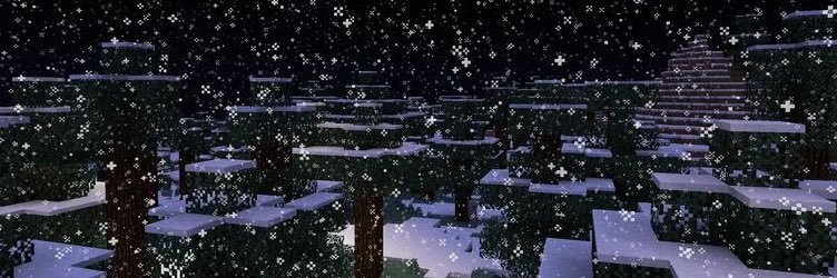 Fw banner