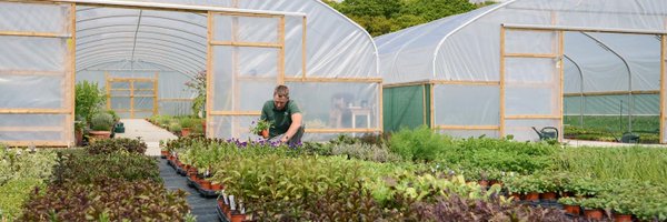 The Culinary Herb Company Profile Banner